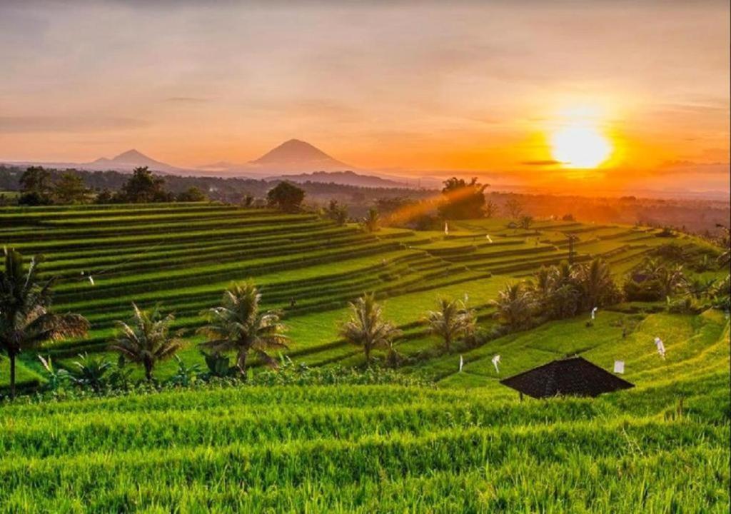 فيلا Luxenomads Tanah Lot Oceanview Escape Selemadeg المظهر الخارجي الصورة